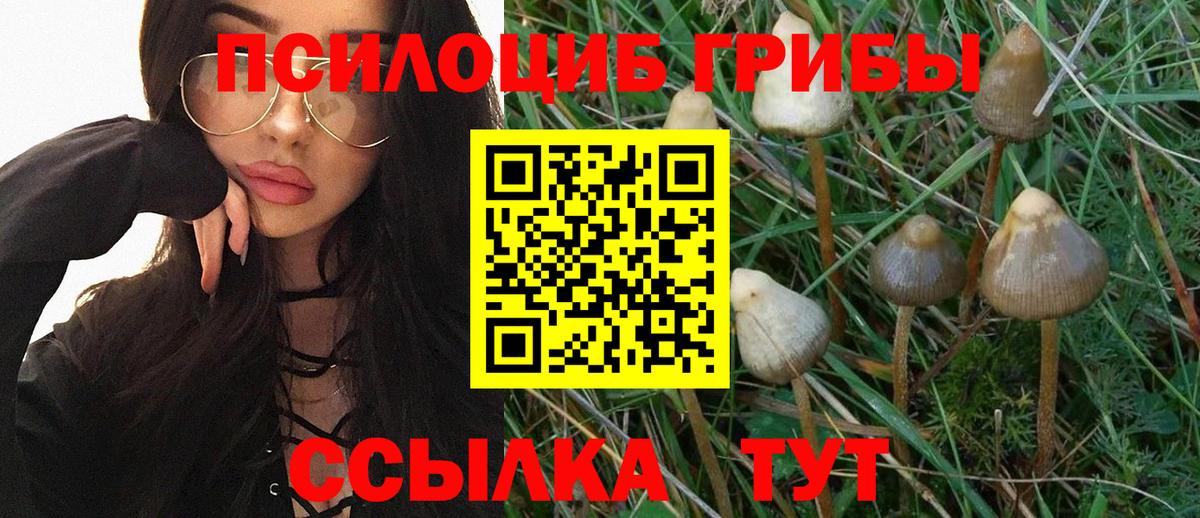 Галлюциногенные грибы Cubensis Таганрог