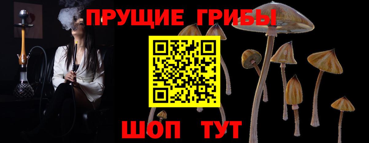 Таганрог  Псилоцибиновые грибы MAGIC MUSHROOMS  Вход с VPN 